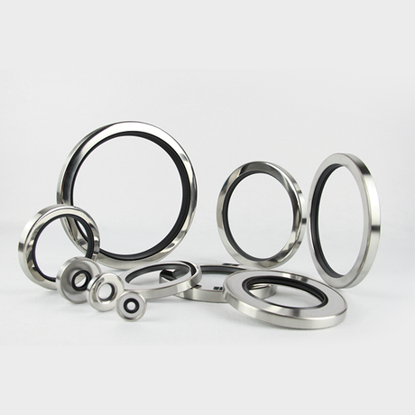 PTFE Shaft Seal